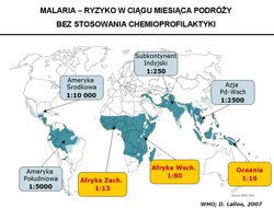 Jak się chronić przed malarią